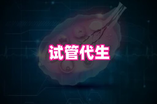 gfg孕网 2