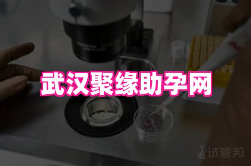 gfg孕网 4